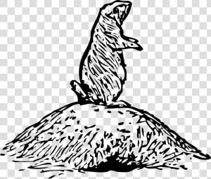 Prairie Dog Clipart Texas   Drawing Of Prairie Dog  HD Png Download