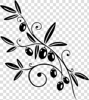 Transparent Olive Branch Png   Black Olive Branch Png  Png Download