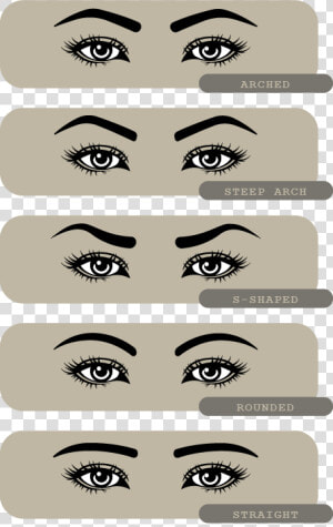 Eyebrow Shape   Illustration  HD Png Download