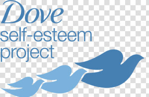 Dove Self Esteem Project  HD Png Download