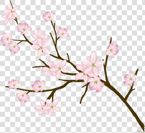  cherryblossom  flowers  branches  freetoedit   Cherry Blossom  HD Png Download