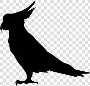 Transparent Parrot Head Clipart   Parrot Silhouette Clip Art  HD Png Download