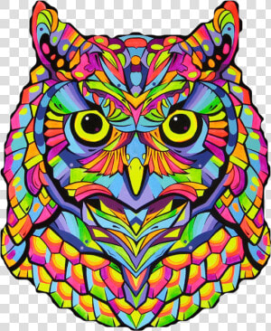  owl  colors  mandala  bird  animal  nature  beak  wings   Colorful Owl Art  HD Png Download