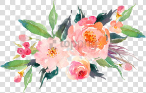 Watercolor Flowers Png Peach Transparent Image With   Transparent Background Watercolor Flowers Png  Png Download