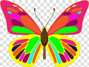 Free Butterfly Vector Art   Butterfly Vector Hd  HD Png Download