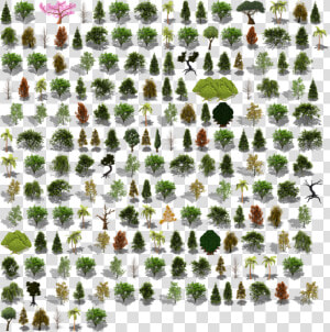 Preview   Animation Tree Sheet Sprite  HD Png Download