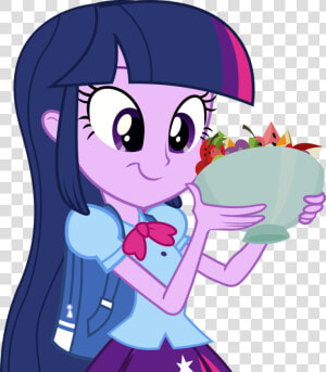 Backpack Clipart Transparent   Eqg Twilight Sparkle Vector  HD Png Download