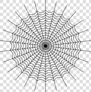 Drawing Web Spider Silk   Charlottes Web Spider Web  HD Png Download