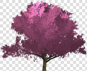 Cherry  Pink  Tree  Painted Tree  Purple   Portadas De Libros Sin Titulo  HD Png Download