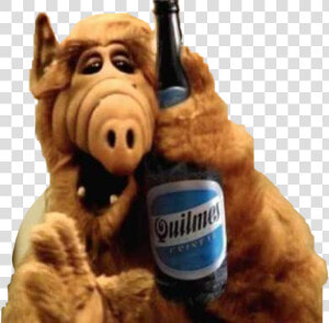  alf  usa  old  comedy  beer  love  free  freetoedit   Alf Png  Transparent Png