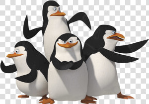 Vector Download Free Png   Penguins Of Madagascar Png  Transparent Png