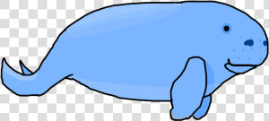 Manatee Drawing Dugong  HD Png Download