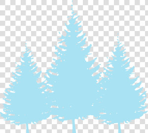 Baby Blue Trees Svg Clip Arts   Transparent Pine Tree Clip Art  HD Png Download