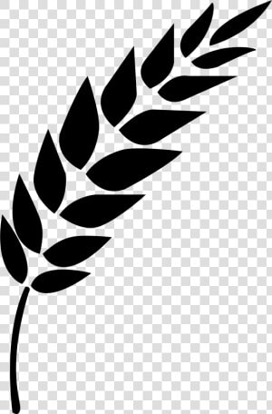 Black And White Wheat Stalk Clipart   Png Download   Icon Vector Wheat Png  Transparent Png