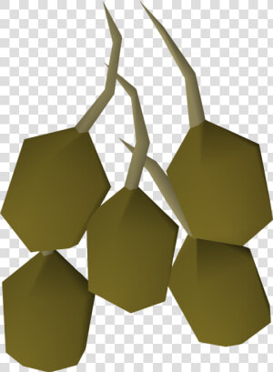 The Runescape Wiki   Potato Seeds Runescape  HD Png Download