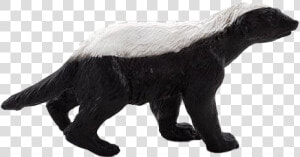 Honey Badger Download Png Image   Honey Badgers Png  Transparent Png