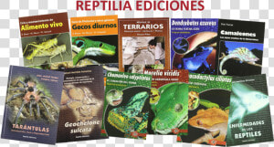 Revistas De Reptiles  HD Png Download