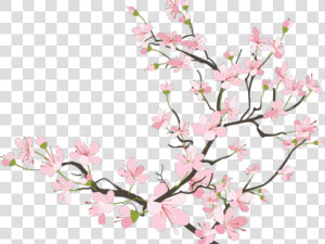 Transparent Cherry Blossom Branch Clipart   Japanese Cherry Blossom Transparent  HD Png Download