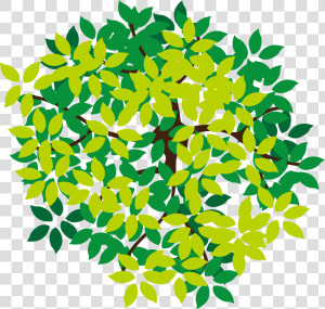 Lush Top Tree Icon Png Download Free Clipart   Tree Top Vector Png  Transparent Png