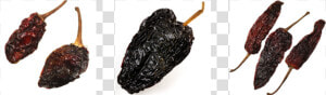 Chile Pasilla De Oaxaca   Png Download   Chile Chipotle Png  Transparent Png