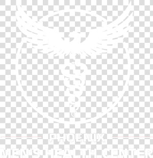 Phoenix Men S Health Center   City Of St Louis Department Of Health Logo  HD Png Download