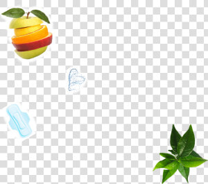 Tangerine  HD Png Download