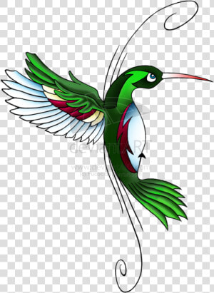 Celtic Tattoos Clipart Bird   Hummingbird Tattoo Designs  HD Png Download