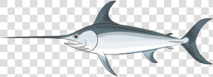 Swordfish  HD Png Download