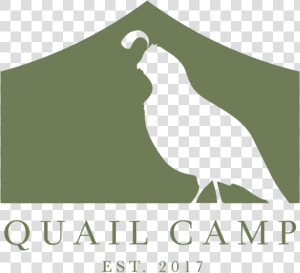 Quail Camp Logo  HD Png Download