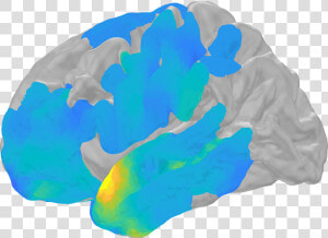 Nih Scientists Showed How Electrical Brain Waves  Called   Human Brain  HD Png Download