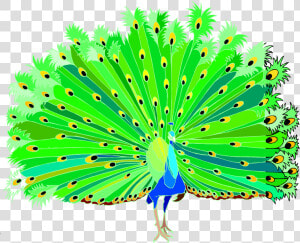 Peacock Clip Art Animal Vector   Peacock Clipart Png Hd  Transparent Png