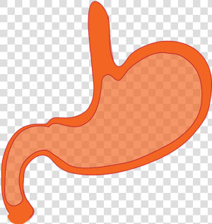 Mouth Clipart Esophagus   Stomach Animated  HD Png Download