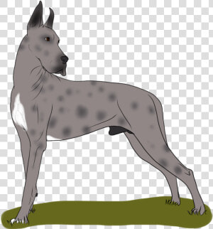 Great Dane Dog Breed Non sporting Group   Old English Terrier  HD Png Download