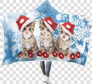 Transparent Christmas Cat Png   National Pet Adoption Weekend November 2019  Png Download