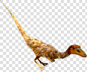 Psinosauropteryx Feathered Dino Clipart   Real Dinosaur Transparent Clipart  HD Png Download