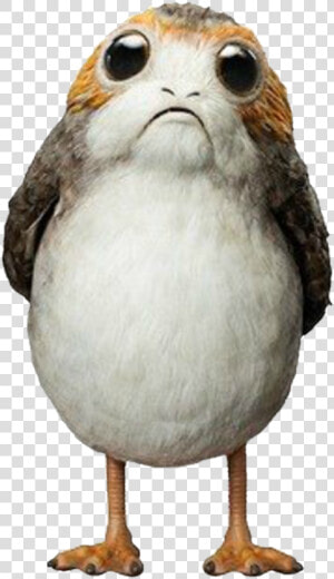 Porg Png   Porg Star Wars  Transparent Png