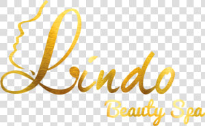 Lindo Beauty Salon And Spa   Png Of Beauty Parlour Golden Logos  Transparent Png