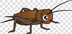 Cricket Insect Clipart Png   Insect Clipart Png  Transparent Png