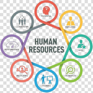 Human Resources Department Logo  HD Png Download