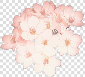 Anime Flowers Flower Aesthetic Tumblr Kpop Transparent   Flower Drawing  HD Png Download