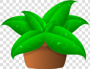 Vector Drawing Of Large Green Leaves Plant In Pot   Clip Art For Plants  HD Png Download