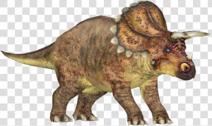 Triceratops  HD Png Download