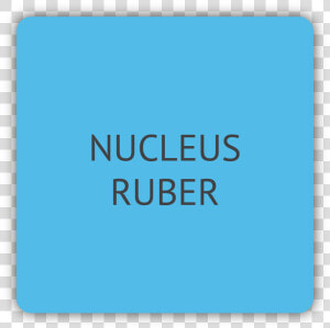 Nucleus Ruber  HD Png Download