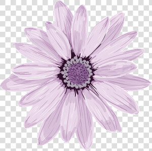 Flower  Spring  Fresh  Purple  Pink  Flora   Purple Flower Vector Free  HD Png Download