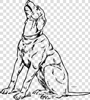 Dog Clipart Barking   Barking Dog Coloring Pages  HD Png Download