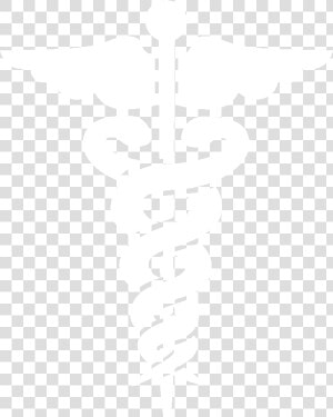 Transparent Medical Caduceus Png   Universal Health Care Png  Png Download