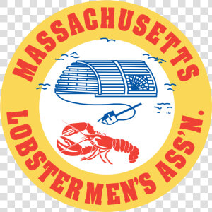 Transparent Rope Bow Png   Massachusetts Lobstermen  39 s Association  Png Download