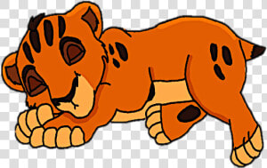 Baby Taka   Tiger  HD Png Download