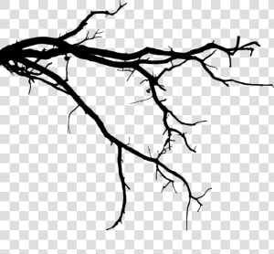 Free Png Tree Branch Png Images Transparent   Tree Branch Silhouette Png  Png Download