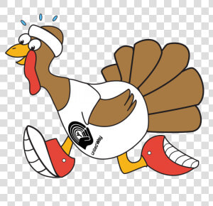 Transparent Finish Line Clipart   2018 Turkey Trot Conway Ar  HD Png Download